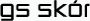 GS Skór